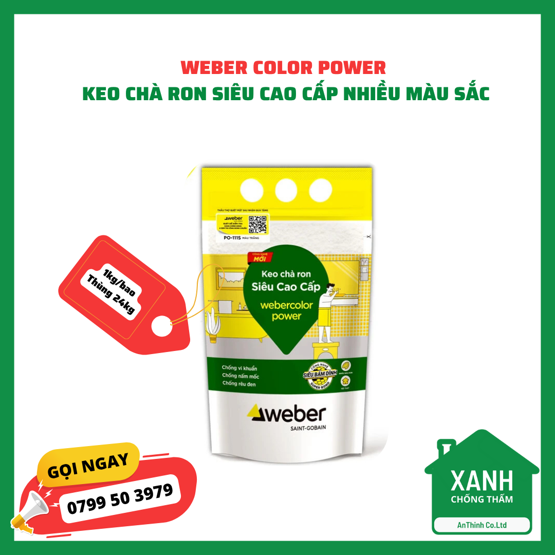 WEBER COLOR POWER WEBER COLOR POWER