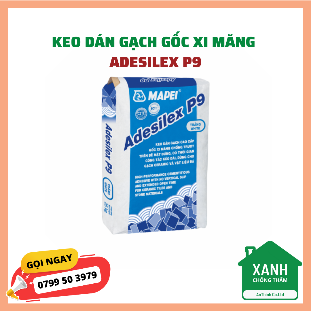 ADESILEX P9 ADESILEX P9